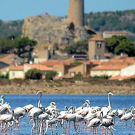 Vagues Et Vignes Appt T2 Bien Place Equipe Wifi Avec Parking Prive Διαμέρισμα Gruissan